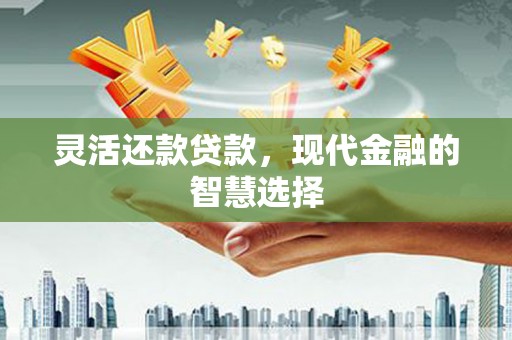 港闸灵活还款贷款，现代金融的智慧选择