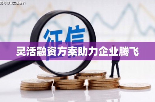 北关灵活融资方案助力企业腾飞