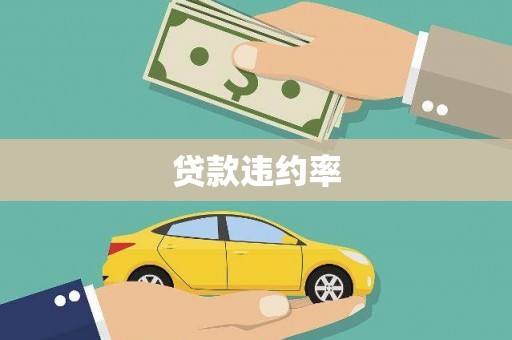 马尔康贷款违约率