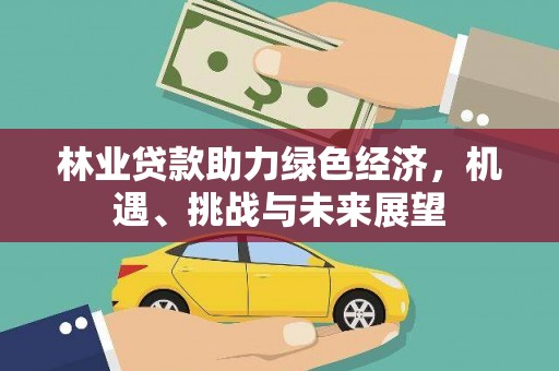 吴忠林业贷款助力绿色经济，机遇、挑战与未来展望