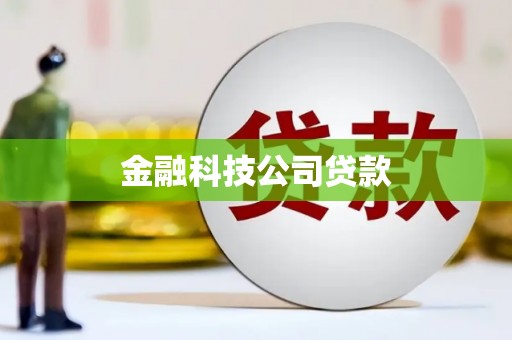 圣方济各堂区金融科技公司贷款