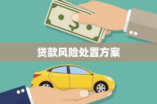 屏边贷款风险处置方案