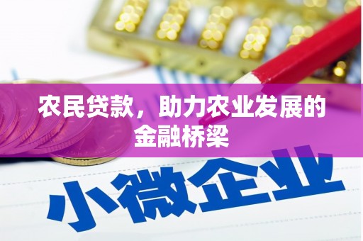 新泰农民贷款，助力农业发展的金融桥梁
