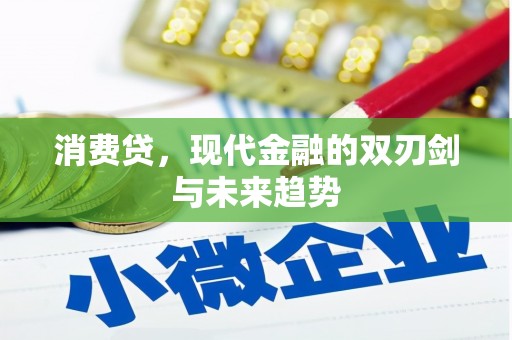 安居消费贷，现代金融的双刃剑与未来趋势