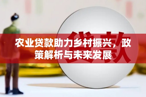 墨江农业贷款助力乡村振兴，政策解析与未来发展