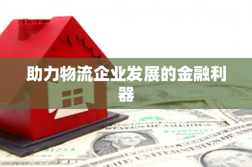 岳阳楼助力物流企业发展的金融利器