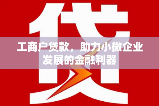 西夏工商户贷款，助力小微企业发展的金融利器