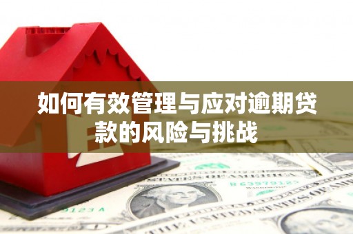 青河如何有效管理与应对逾期贷款的风险与挑战