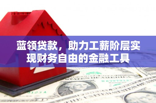 定陶蓝领贷款，助力工薪阶层实现财务自由的金融工具