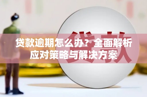 邓州贷款逾期怎么办？全面解析应对策略与解决方案