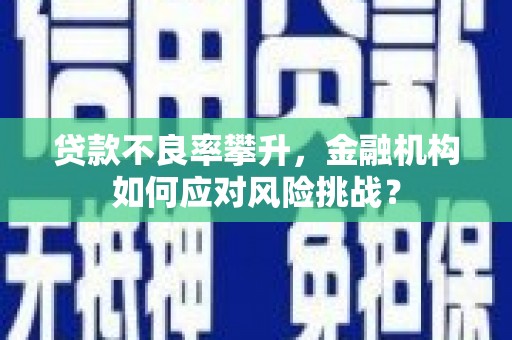 板桥贷款不良率攀升，金融机构如何应对风险挑战？