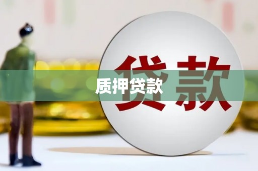 沿河质押贷款