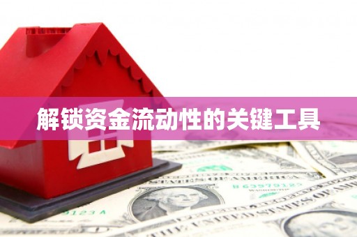 嘉禾解锁资金流动性的关键工具