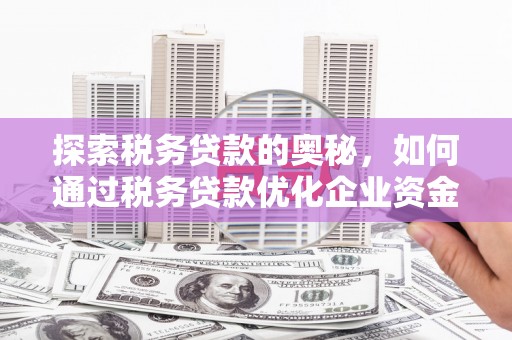 伊春探索税务贷款的奥秘，如何通过税务贷款优化企业资金流