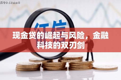旅顺口现金贷的崛起与风险，金融科技的双刃剑