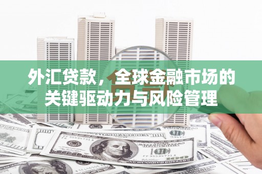 雄安新区外汇贷款，全球金融市场的关键驱动力与风险管理