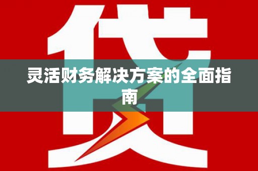 成武灵活财务解决方案的全面指南
