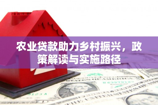 芦淞农业贷款助力乡村振兴，政策解读与实施路径