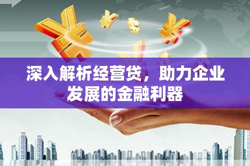 民雄深入解析经营贷，助力企业发展的金融利器