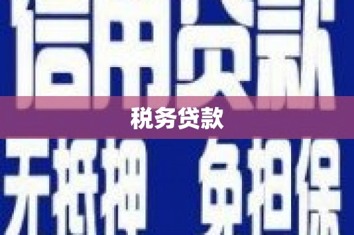 镇巴税务贷款