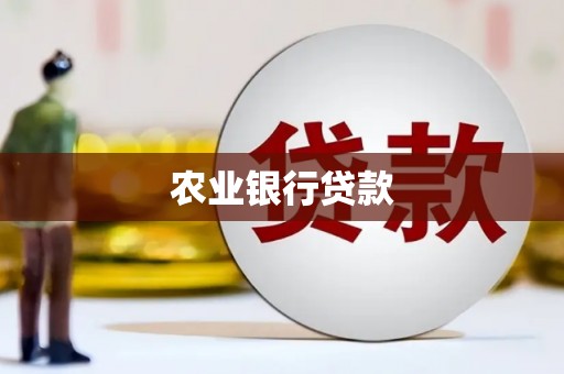 花都农业银行贷款