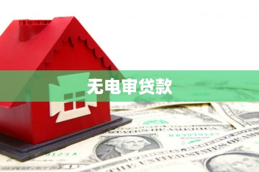 会理无电审贷款