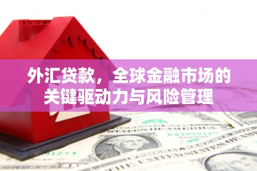 埌东外汇贷款，全球金融市场的关键驱动力与风险管理