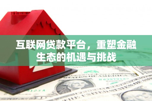 疏勒互联网贷款平台，重塑金融生态的机遇与挑战