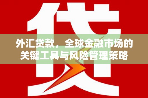 界首外汇贷款，全球金融市场的关键工具与风险管理策略