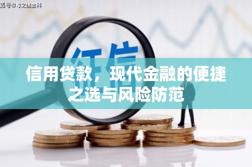 美兰信用贷款，现代金融的便捷之选与风险防范