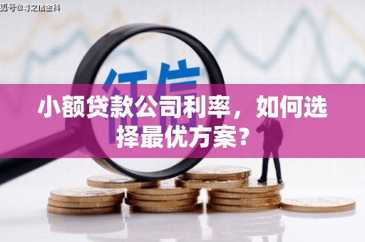 囊谦小额贷款公司利率，如何选择最优方案？