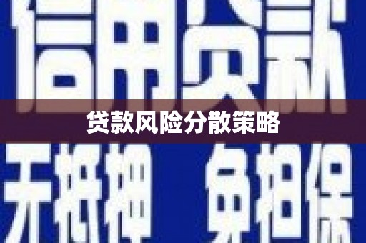 学甲贷款风险分散策略