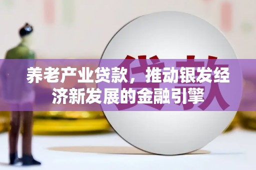 界首养老产业贷款，推动银发经济新发展的金融引擎