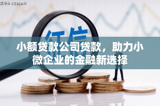 沿河小额贷款公司贷款，助力小微企业的金融新选择
