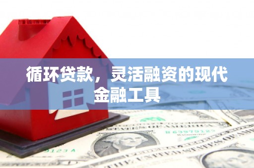 宣威循环贷款，灵活融资的现代金融工具