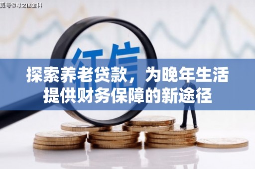 水富探索养老贷款，为晚年生活提供财务保障的新途径