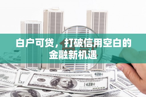长白白户可贷，打破信用空白的金融新机遇