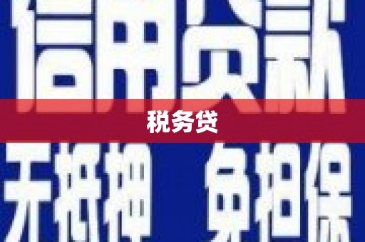 叙永税务贷