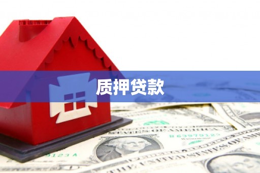 越西质押贷款