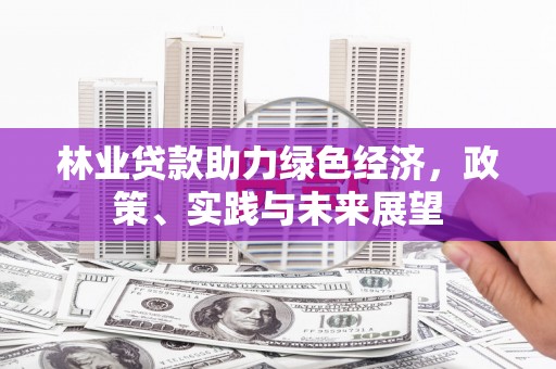 务川林业贷款助力绿色经济，政策、实践与未来展望
