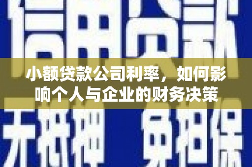云梦小额贷款公司利率，如何影响个人与企业的财务决策