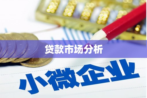 永胜贷款市场分析