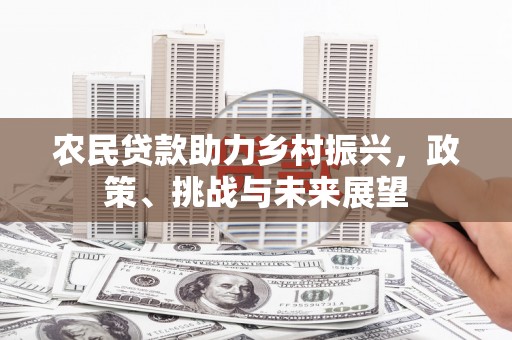 桐乡农民贷款助力乡村振兴，政策、挑战与未来展望
