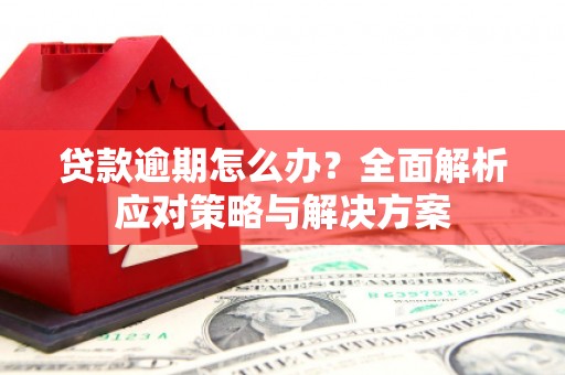 任城贷款逾期怎么办？全面解析应对策略与解决方案