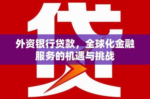 喜德外资银行贷款，全球化金融服务的机遇与挑战