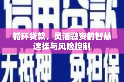 蚌埠循环贷款，灵活融资的智慧选择与风险控制