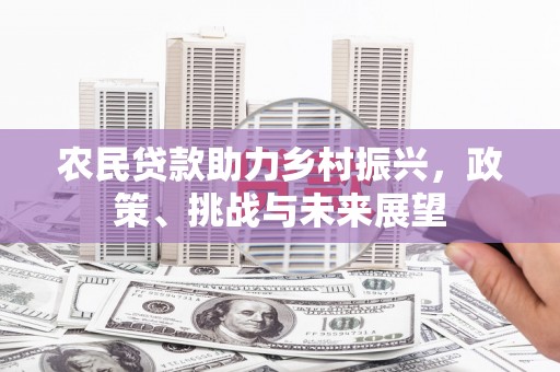 临沭农民贷款助力乡村振兴，政策、挑战与未来展望