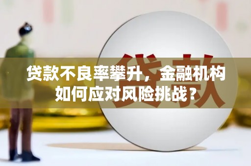 潜江贷款不良率攀升，金融机构如何应对风险挑战？