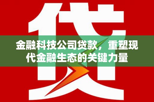 卧龙金融科技公司贷款，重塑现代金融生态的关键力量