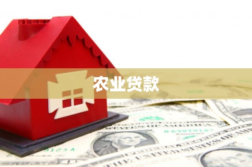 大寮农业贷款